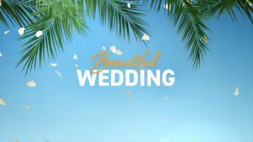 Backdrop to the movie "Beautiful Wedding" #190134
