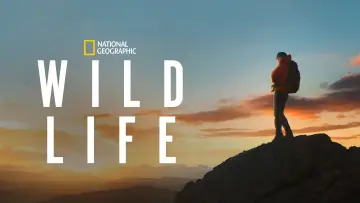 Backdrop to the movie "Wild Life" #1649510