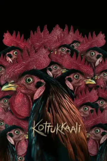 Kottukkaali