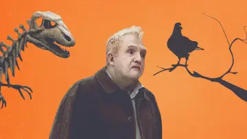 Backdrop to the movie "A Pigeon Sat on a Branch Reflecting on Existence" #994374