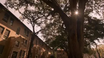 Backdrop to the movie "Pitch Perfect" #1179691