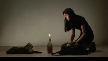 Backdrop to the movie "The Cat" #1653543
