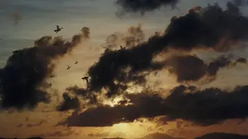 Backdrop to the movie "Lost and Found" #1173333