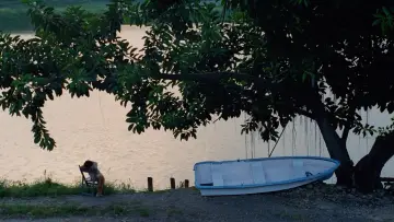Backdrop to the movie "Lost and Found" #1173339