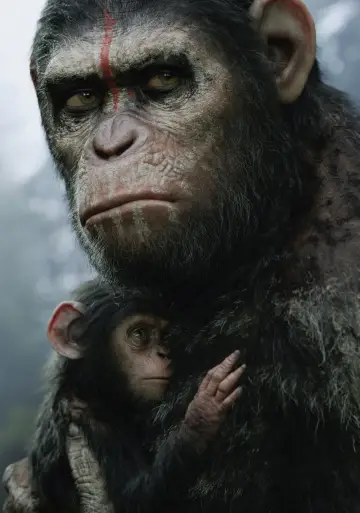 Poster to the movie "Dawn of the Planet of the Apes" #479000