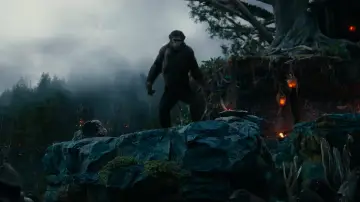Backdrop to the movie "Dawn of the Planet of the Apes" #596972