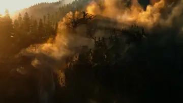 Backdrop to the movie "Dawn of the Planet of the Apes" #596976