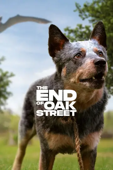 Poster to the movie "The End of Oak Street" #960077