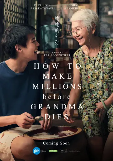 Poster to the movie "How to Make Millions Before Grandma Dies" #609388