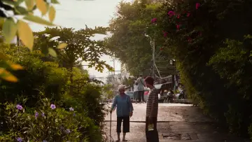 Backdrop to the movie "How to Make Millions Before Grandma Dies" #782876