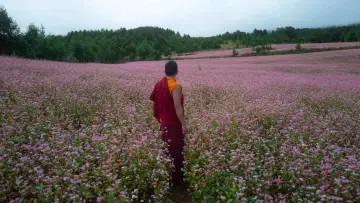 Backdrop to the movie "The Monk and the Gun" #758203