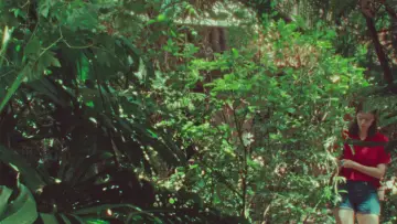 Backdrop to the movie "The Parrot" #1650315