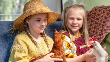 Hayflower, Quiltshoe and the Chicken Poster