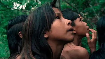 Backdrop to the movie "The Buriti Flower" #1086161
