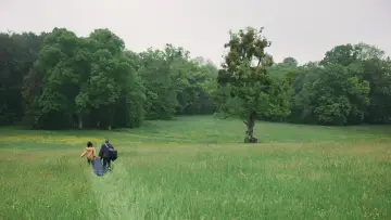 Backdrop to the movie "Serpent