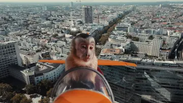 Backdrop to the movie "Akiko, the Flying Monkey" #685116
