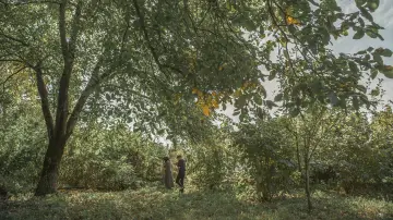 Backdrop to the movie "Imago" #695226