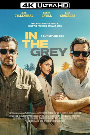 Poster to the movie "In the Grey" #1154299