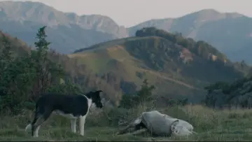 Backdrop to the movie "The Shepherd and the Bear" #927000