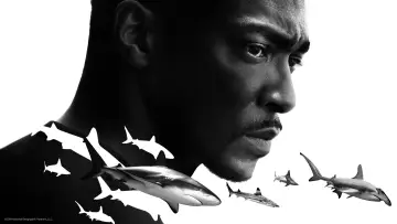 Backdrop to the movie "Shark Beach with Anthony Mackie" #876514
