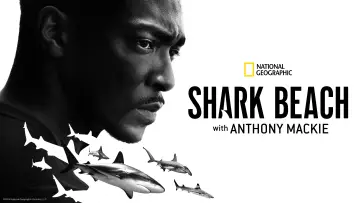 Backdrop to the movie "Shark Beach with Anthony Mackie" #876515