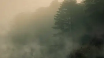 Backdrop to the movie "Devil in the Ozarks" #1628244
