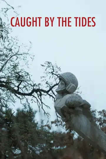 Poster to the movie "Caught by the Tides" #612009