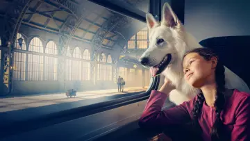 Backdrop to the movie "Lampo, the Travelling Dog" #1095400