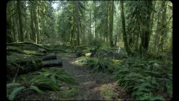 Backdrop to the movie "Beau Ideal" #1569916
