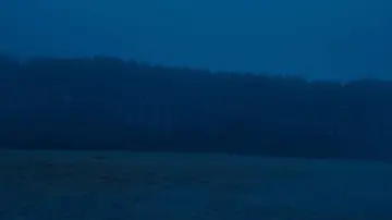 Backdrop to the movie "Evil Does Not Exist" #1385644