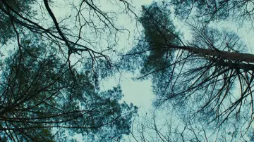 Backdrop to the movie "Evil Does Not Exist" #1385647