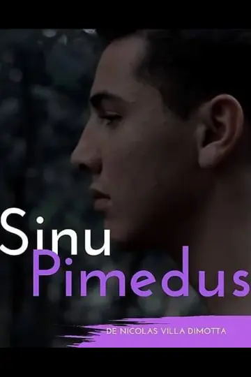 Sinu Pimedus Poster