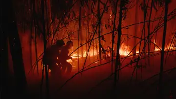 Backdrop to the movie "Lessons in Fire" #1167739