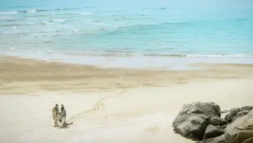 Backdrop to the movie "Isle of Snakes" #646999