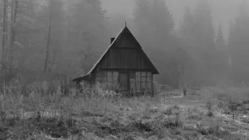 Backdrop to the movie "Rose" #1652076