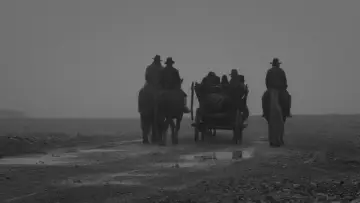 Backdrop to the movie "Rose" #1652077