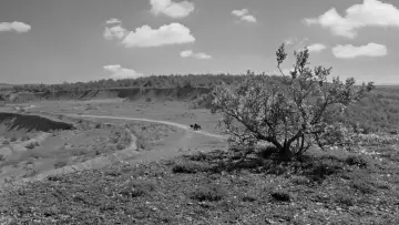 Backdrop to the movie "Rose" #1652086