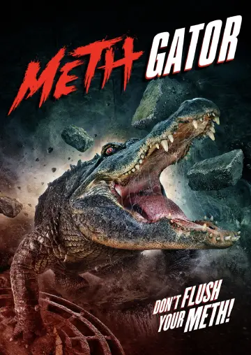 Meth Gator Poster