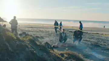 Backdrop to the movie "Les Secrets du Finistère - Le Chant des sirènes" #1093036