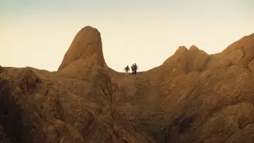 Backdrop to the movie "Survive" #604164