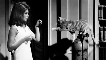 Backdrop to the movie "Eye of the Cat" #1042757
