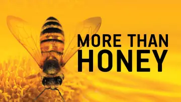 Backdrop to the movie "More Than Honey" #1873036