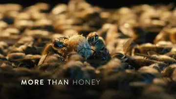 Backdrop to the movie "More Than Honey" #1873038