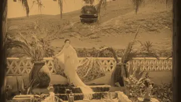 Backdrop to the movie "Mother Hummingbird" #1149081