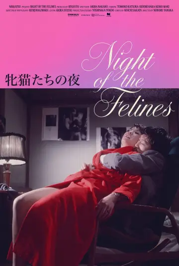 Poster to the movie "Night of the Felines" #1195624