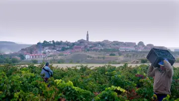 Backdrop to the movie "Rioja: The Land of a Thousand Wines" #1644378