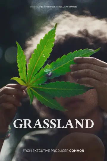 Poster to the movie "Grassland" #1773677