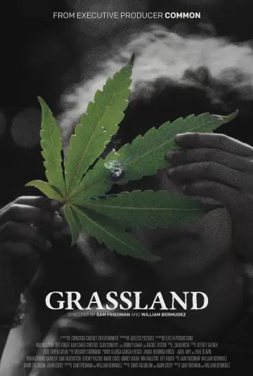 Poster to the movie "Grassland" #1773678