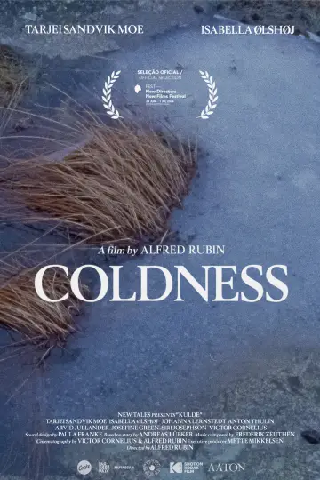 Kulde Poster