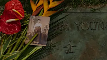 Backdrop to the movie "Songs of Love from Hawaii" #1114035
